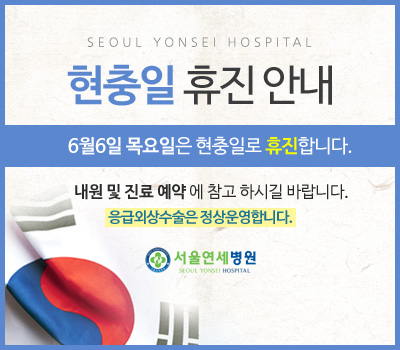 6월6일 현충일 휴진 안내